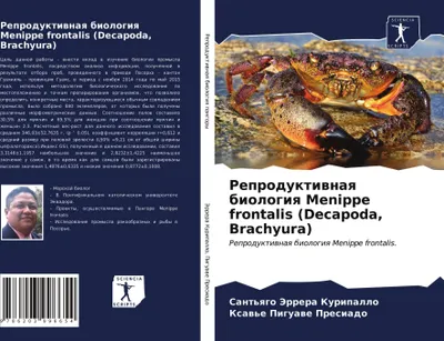 Produktbild von Reproduktiwnaq biologiq Menippe frontalis (Decapoda, Brachyura)