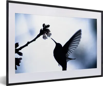 Produktbild von MuchoWow® MuchoWow® Gerahmtes Poster Vogel - Kolibri - Scherenschnitt 60x40 cm - Poster mit zchwarzem Bilderrahmen - Schlafzimmer - Plakat in Rahmen - Drucken