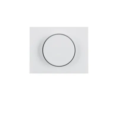 Immagine prodotto di Piastra centrale Berker pws/gl 11357009