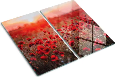 Immagine prodotto di Pannello protettivo in vetro – Copertura per piano cottura – Copertura per piano cottura a induzione – 2x30x52 cm – Facile da pulire – Vetro temperato – Motivo floreale