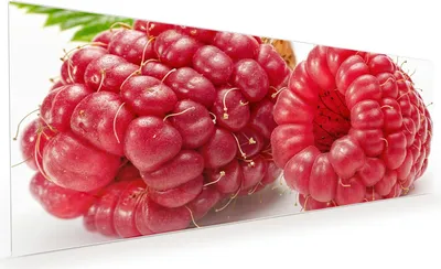 Produktbild von Küchenrückwand Spritzschutz Glas mit Motiv Himbeerenblatt 40 x 40 cm