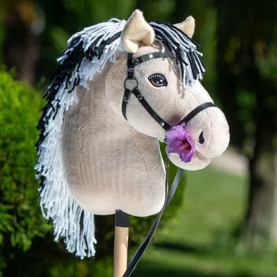 Productafbeelding van Hobby Horse Fjord met glinsterend halster - Formaat A3