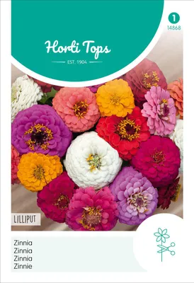 Image de Zinnia Liliput Mélange rempli | Graines de fleurs de Hortitops