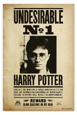 Produktbild von Harry Potter Unerwü nschte Nummer 1-Poster