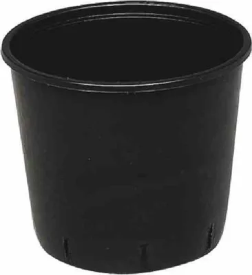 Image de Conteneur à plantes noir 50 l 32 x 51 cm