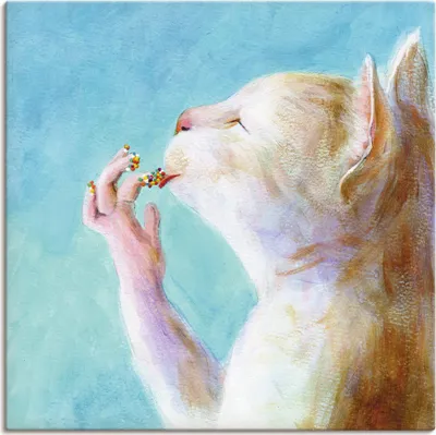 Produktbild von ARTland Leinwandbild Naschkatze Größe: 40x40 cm