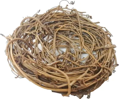 Image de coquetin en rotin 12 cm, lot de 6 pièces WGN-8780