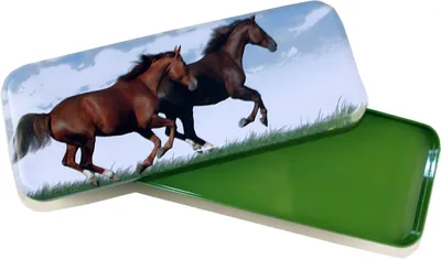 Produktbild von Rheita Stiftetui aus Metall, Design "Pferde"