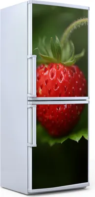 Produktbild von Kühlschrankdekoration  60x180 cm  Aufkleber auf dem Kühlschrank - Wilde Erdbeere Beere