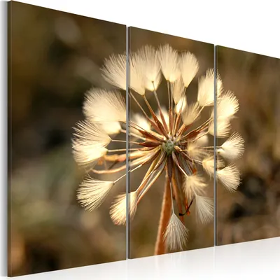 Produktbild von Modernes Wandbild 030210- 76 (120x80) - 3 Teilig Bilder Fotografie auf Vlies Leinwand Foto Bild Dekoration Wand Bilder Kunstdruck Blumen
