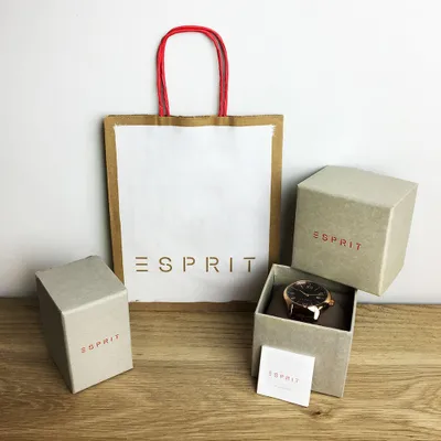 Image de Montre Esprit pour homme ES1G053M0045 argenté