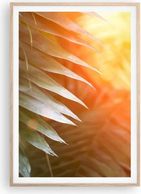 Produktbild von Gerahmtes Poster - Rahmen in heller Eiche - Exotisch Blätter Dämmerung - 70x100 cm - Wand Bild - Wanddeko - Wandbilder - Kunstposter - Wandposter - Bilderrahmen - Bilder - P2NPA70x100-4807