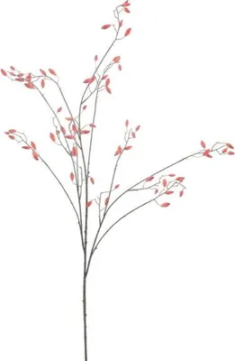 Produktbild von Warentuin Producten