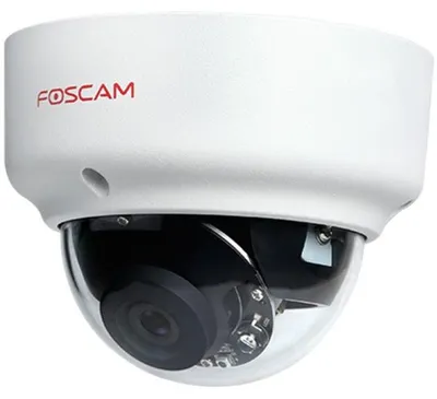 Obrázek produktu pro Foscam D2EP, Bezpečnostní IP kamera, Vnitřní a venkovní, Kabel, CE, FCC, Strop/zeď, Bílá
