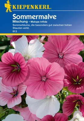 Immagine prodotto di KIEPENKERL Miscuglio di Malope trifida