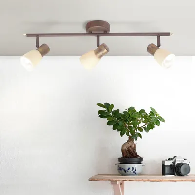 A ceiling light fixture with three adjustable spotlights is mounted on a ceiling above a white wall. Below the light fixture, on a wooden shelf, sits a bonsai tree in a decorative pot and a vintage camera.