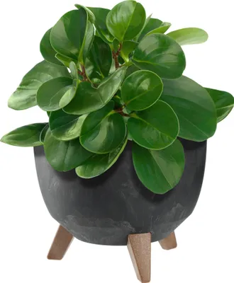 Obrázek produktu pro KADAX květináč 24 cm obal + vložka nohy korkový stojan na květiny černý