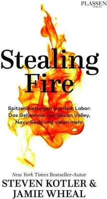 Image de Stealing Fire