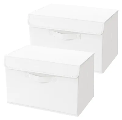 Produktbild von Aufbewahrungsboxen mit Deckel – 2er-Set, Stoffkörbe, faltbare Aufbewahrungsboxen mit Sichtfenster, 38 x 25 x 25 cm, faltbare Box für Kleidung