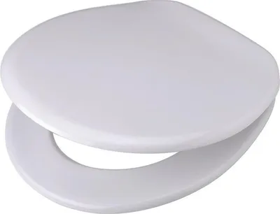 A white toilet seat is shown from a slightly elevated angle against a white background.