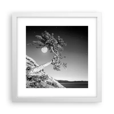 Produktbild von Gerahmtes Poster - Weißer Rahmen - Voll der Mond Baum - 30x30 cm - Wand Bild - Wanddeko - Wandbilder - Kunstposter - Wandposter - Bilderrahmen - Bilder - Kunstdruck - Wanddekoration - P2WAC30x30-4689