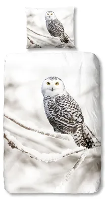 Produktbild von Good Morning Bettwäsche-Set SNOWY OWL 135 x 200 cm Flanell