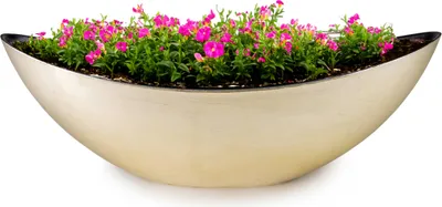 Produktbild von Große Pflanzschale oval 39 cm für draussen Dekoschale champagner