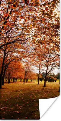 Produktbild von MuchoWow® Poster Herbst - Herbstblätter - Natur 60x120 cm - Wandschmuck