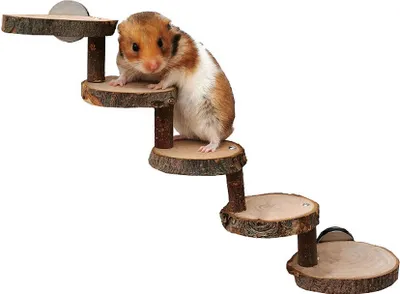 Produktbild von Hamster-Kletterspielzeug, Natürliches Holztreppen- Und Kauspielzeug Für Hamster, Sicheres Kletterhamster-Zubehör Für Käfige Mit Festen Schrauben