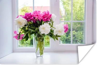 Produktbild von MuchoWow® Poster Blumen - Pfingstrosen - Vase 60x40 cm - Schlafzimmerdekoration