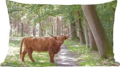 Produktbild von MuchoWow® Zierkissen Sofakissen Wohnzimmer Dekokissen 50x30 cm Wald - Schottisches Hochlandrind - Licht - Wohnzimmerdekoration - Polster mit Photo