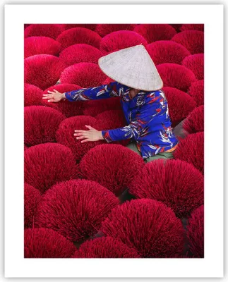 Produktbild von Poster - Poster ohne Rahmen - Trocknen Weihrauch Vietnam - 40x50 cm - Wand Bild - Wanddeko - Wandbilder - Kunstposter - Wandposter - Bilder - Kunstdruck - Wanddekoration - Wandbild - P2XPA40x50-4655