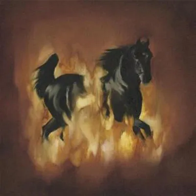 Obrázek produktu pro Are The Dark Horse