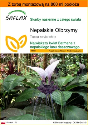 Zdjęcie produktu dla SAFLAX - Garden in the bag - Nepalskie Olbrzymy - 10 Nasiona - Z podłożem uprawowym w praktycznej, samorozkładającej się torbie - Tacca nevia white