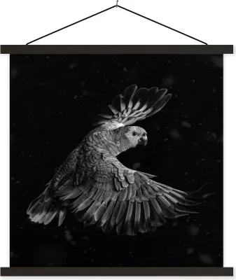 Produktbild von MuchoWow® Textilposter Fliegende Papagei mit goldenen Federn auf einem schwarzen Hintergrund - schwarz und weiß 60x60 cm mit schwarzem Rahmen - Posteraufhänger