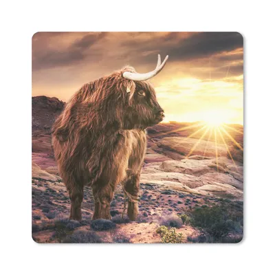 Produktbild von MuchoWow® Mauspad Mousepad Kuh - Schottischer Highlander - Steine 20x20 cm - Mousepads - Maus Mat - Pad - Mausunterlage - Desk Mat - Bureauartikeln