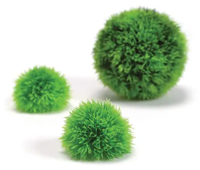 Productafbeelding van biOrb 46060 Decoratieve plantenbol set, 3 stuks, groen - Kunstplanten decoratie, natuurgetrouwe uitstraling