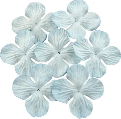Produktbild von HORTENSIONEN Papierblumen, hellblau 50mm - 100 Stück