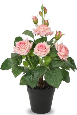 Zdjęcie produktu dla Sztuczne kwiaty krzew róży 34cm Sztuczna roślina w doniczce różowa dekoracja