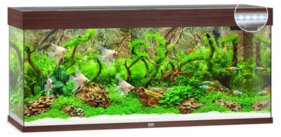 Productafbeelding van Juwel Rio 240 LED | 240L | 121 x 41 x 51CM Donkerhout