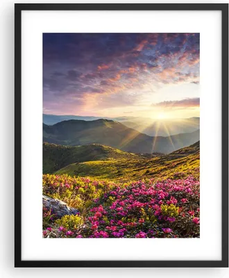 Produktbild von Gerahmtes Poster - Schwarzer Rahmen - Gebirge Wiese Landschaft Wald - 40x50 cm - Wand Bild - Wanddeko - Wandbilder - Wandposter - Bilderrahmen - Bilder - Kunstdruck - Wandbild - P2BPA40x50-3152