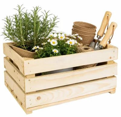 Produktbild von LASSE Holzkiste 40x30x20 cm – Dekokiste aus Holz in Natur oder geflammt – Aufbewahrungskiste, Obstkiste, Regalkiste und Geschenkkiste Natur
