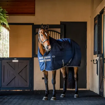 Produktbild von Horseware Stalldecke in Größe 140 - Rhino Stable 100g - Navy/Titanium Grey/Classic Blue