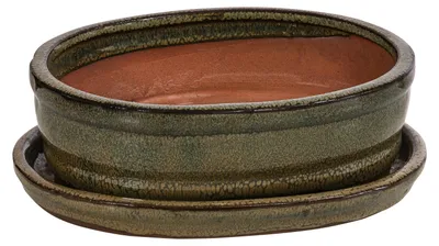 Produktbild von Dehner Bonsaischale, mit Untersetzer, oval, ca. 15 x 4,5 x 12 cm, Keramik, grün