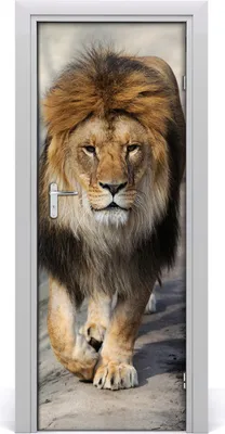 Produktbild von Tulup Türaufkleber 75x205 cm Dekorative Aufkleber Selbstklebend Wasserdichte Tapete Abnehmbar Schlafzimmer Wohnzimmer Wohnkultur - Lion Wand