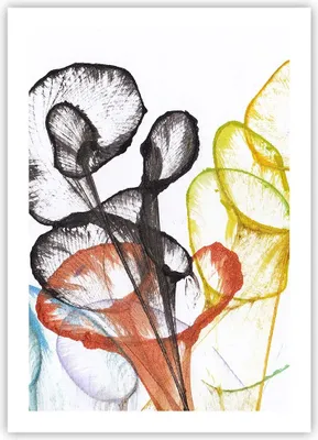 Produktbild von Poster - Poster ohne Rahmen - Blumen Abstraktion Surrealismus - 50x70 cm - Wand Bild - Wanddeko - Wandbilder - Kunstposter - Wandposter - Bilder - Kunstdruck - Wanddekoration - P2XPA50x70-4444