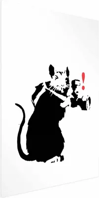 Produktbild von Posterpapier Poster - Photographer Rat 29.7x42 cm Streetart g-C-0151-ao-a