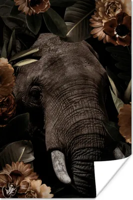 Produktbild von MuchoWow® Poster Elefant - Pflanzen - Blumen 120x180 cm - Kunstposter