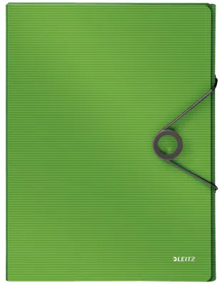 Image de LEITZ Boîte de classement Solid, DIN A4, PP, vert clair