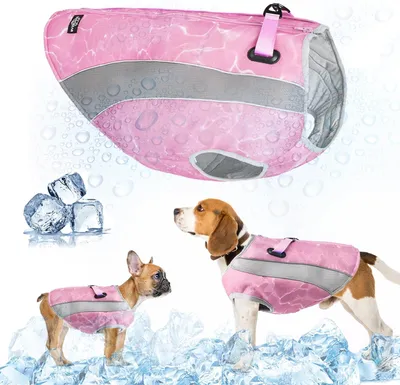 Image de Manteau d'hiver pour chien - Coton - Réfléchissant - Doublé